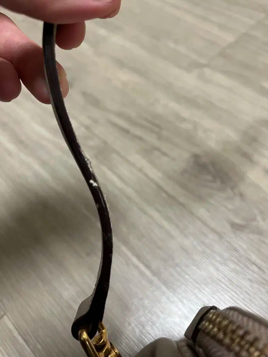 バッグ ダストあり