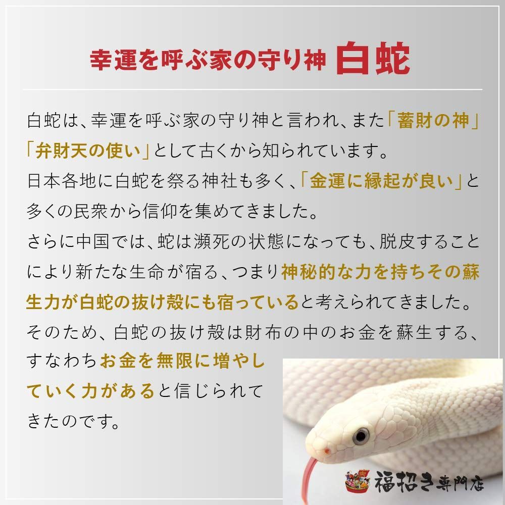 ラミネート加工 【頭】訳あり 破れ 白蛇 抜け殻 白ヘビ 抜殻 しろへび 風水 金運アップ 祈願済み - メルカリ