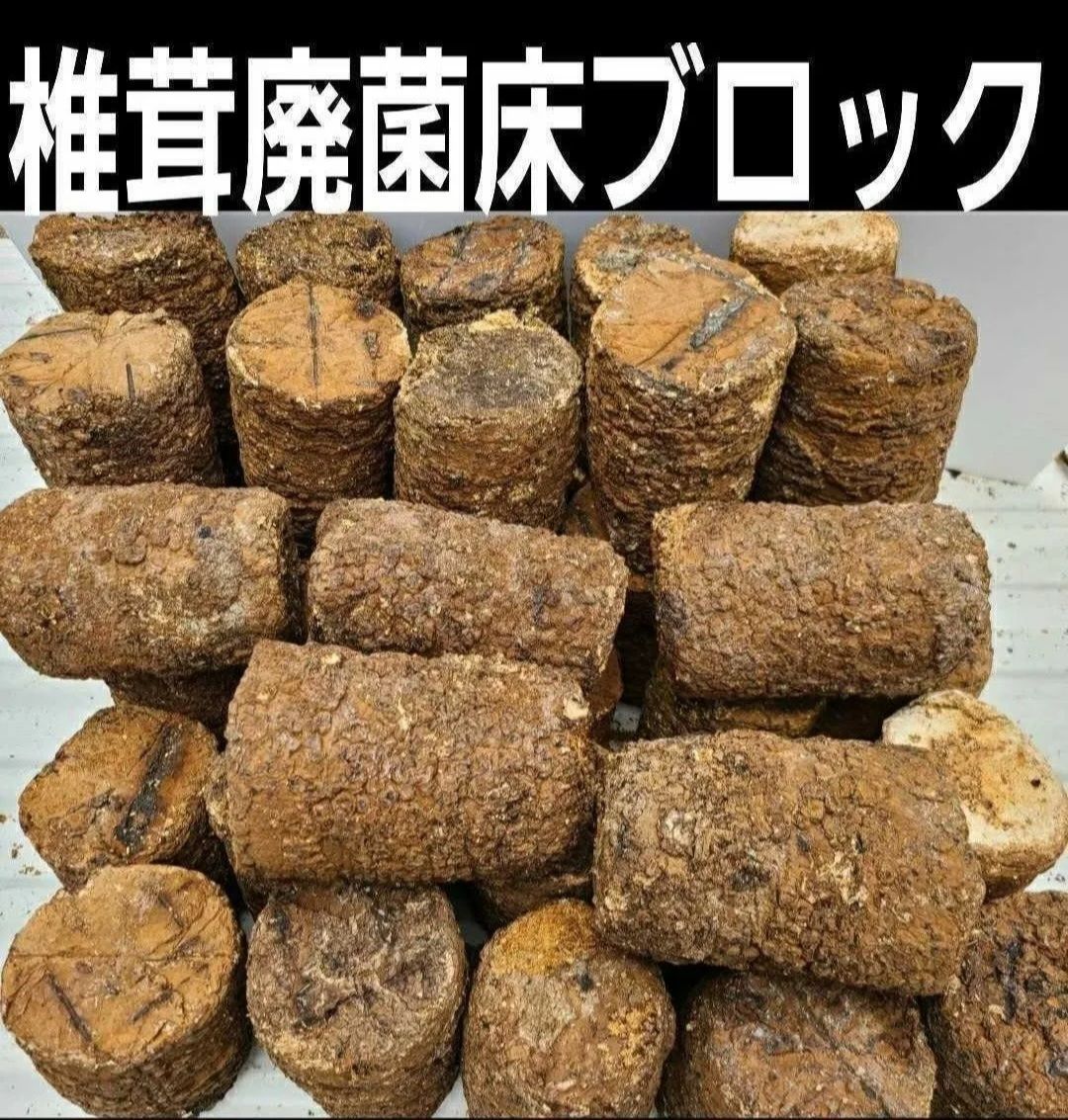 カブトムシ幼虫の栄養強化に抜群！椎茸菌床ブロック【2個セット】丸ごと発酵マットに埋め込むと幼虫が潜り込みモリモリ食べます！クヌギ100％原料使用 -  メルカリ