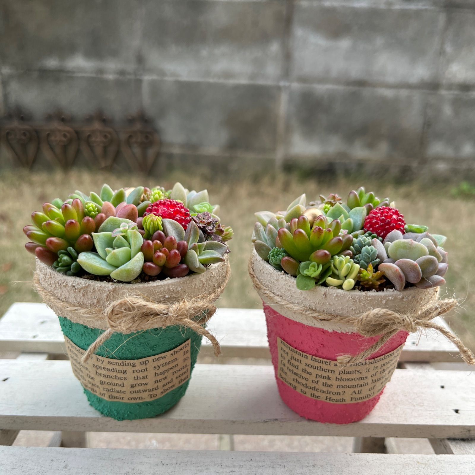 多肉植物 寄せ植え♡セット②