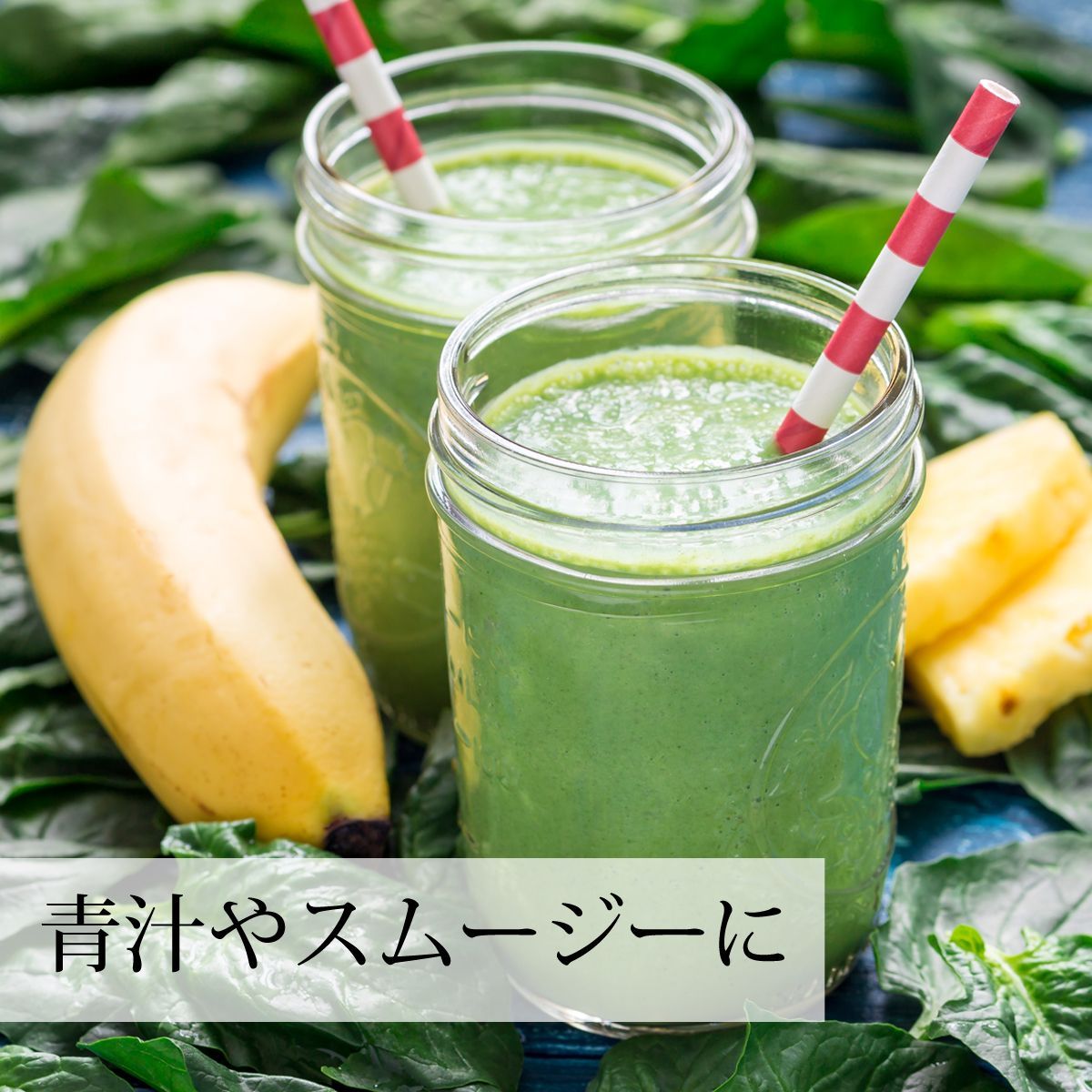 おすすめ