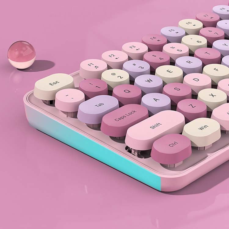 ダイビング 軽器材セット 可愛い ココロア です♫ ダイワ クーラーボックス ライトトランクα S2400 レッド: 釣具の