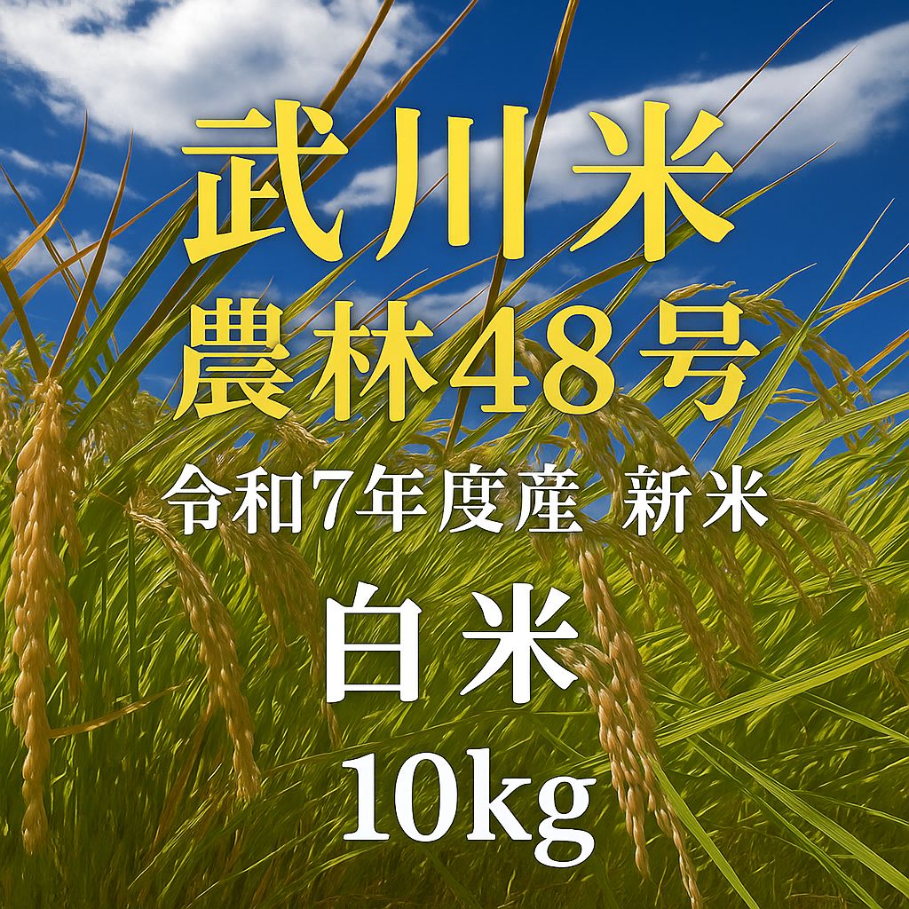 武川米 農林48号 10kg 白米 新米 令和7年度産山梨県北杜市武川町産 農家直送 お米 10キロ