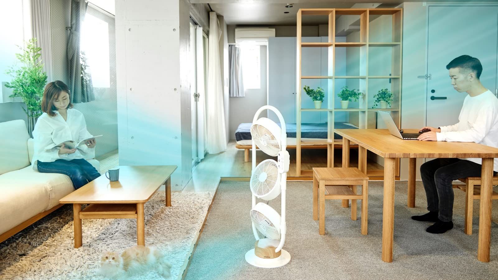 moku. DC3連マルチファン グリーン×木目 扇風機 サーキュレーター タワー型 縦型 リモコン リビング扇風機 フロアファン 送風機 換気 空気循環 部屋干し 室内干し WWW_KANDAIZUMI_COM