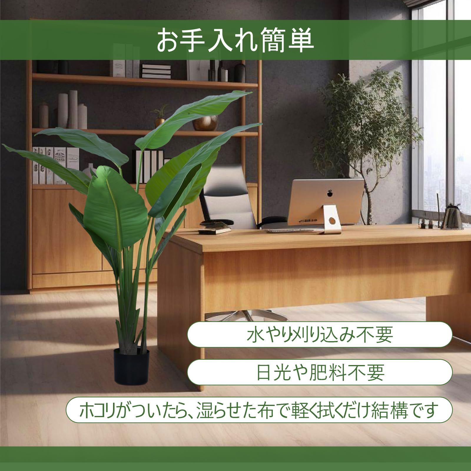 観葉植物