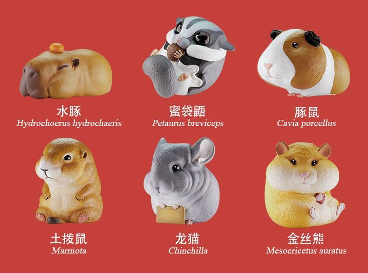 動物の惑星】「イベント限定」掌上萌zoo ブラインドボックス