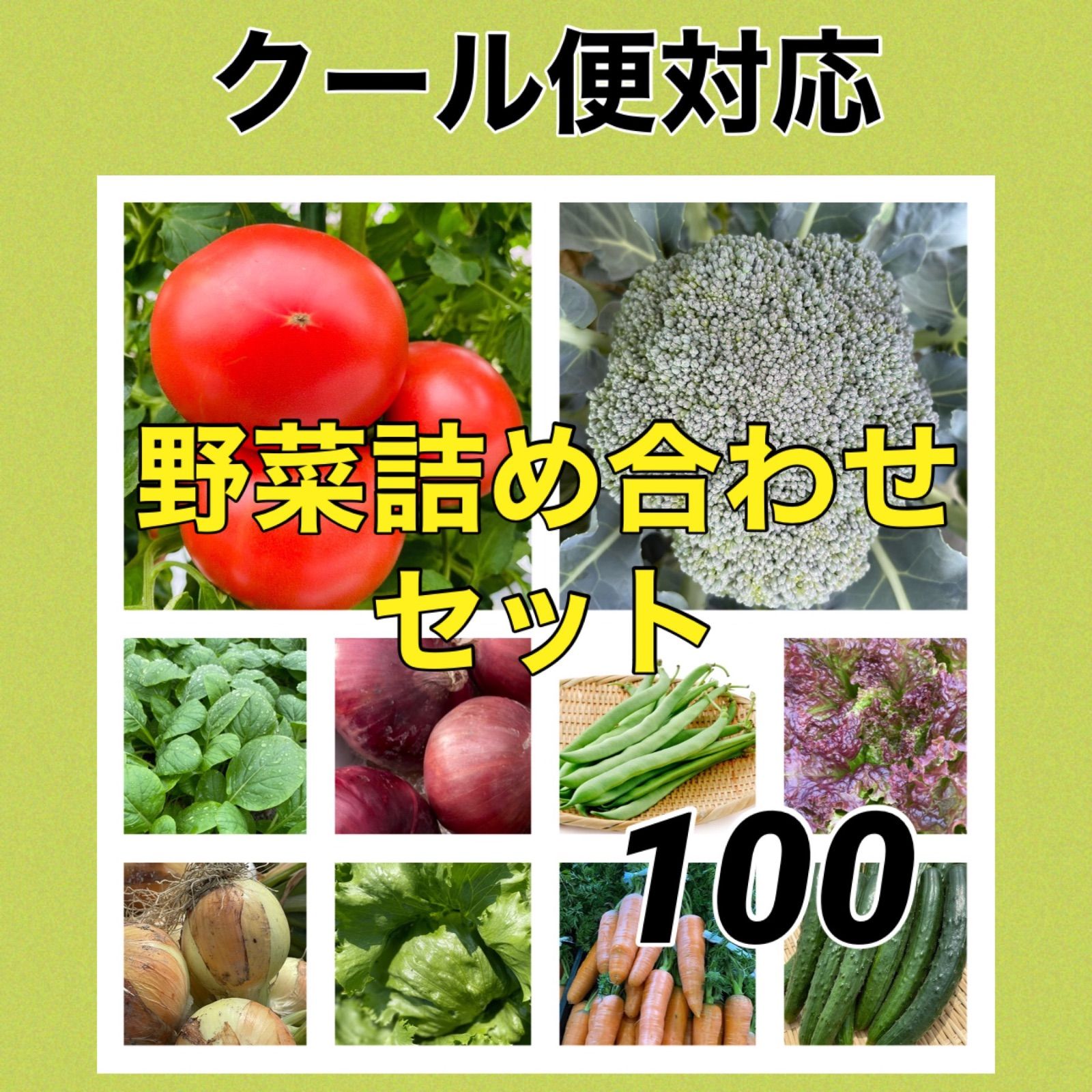 採れたて新鮮野菜詰め合わせ 100サイズ