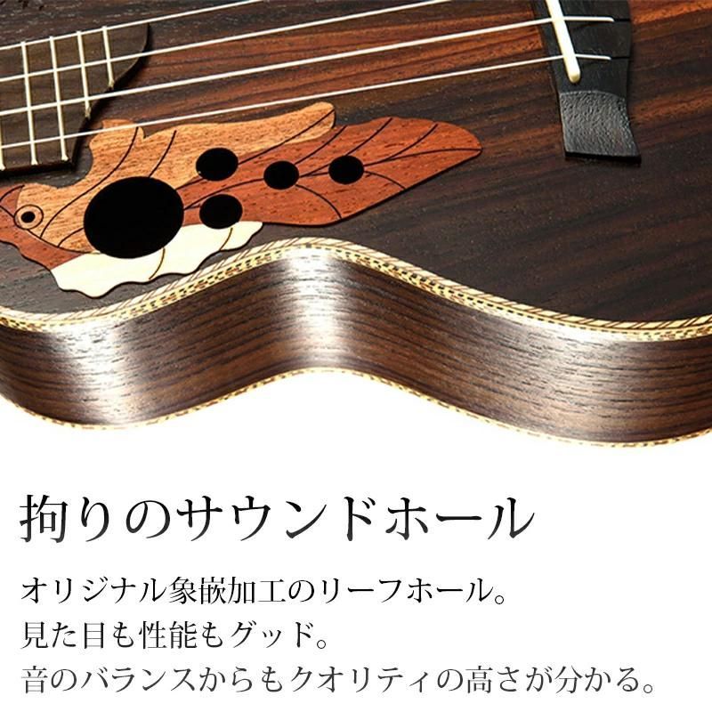 コンサートサイズ