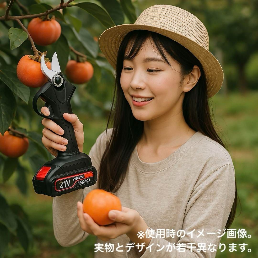 剪定ばさみ 電動 ケース付き園芸用コードレス 充電式 剪定ハサミ