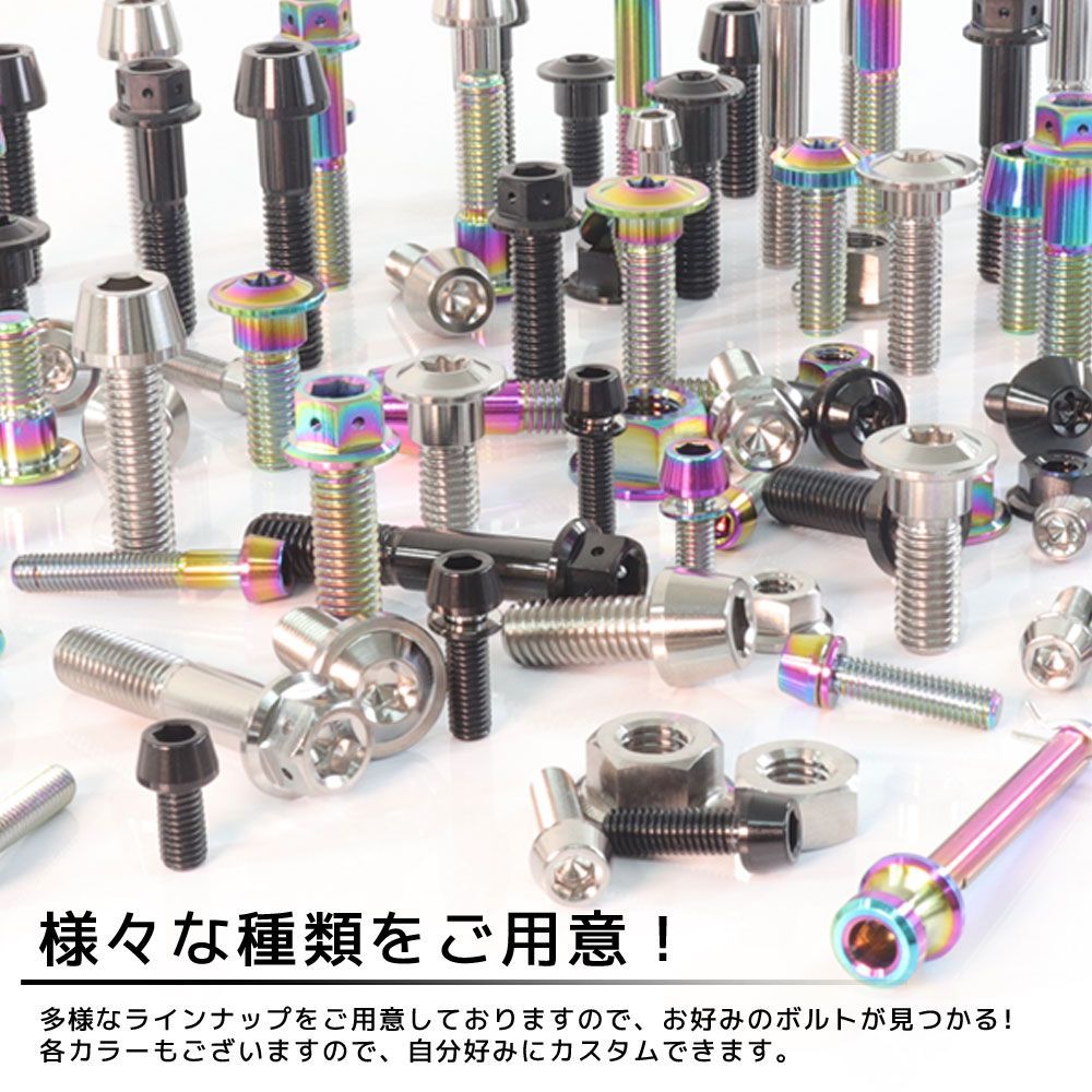 低価, SALE M6×17 P1.00 チタンボルト ブレーキディスクボルト 10本セット 6mm 17mm ピッチ1.0 シルバー チタン合金 Ti-6Al-4V 64チタン 焼き色なし CB1300 CB1100