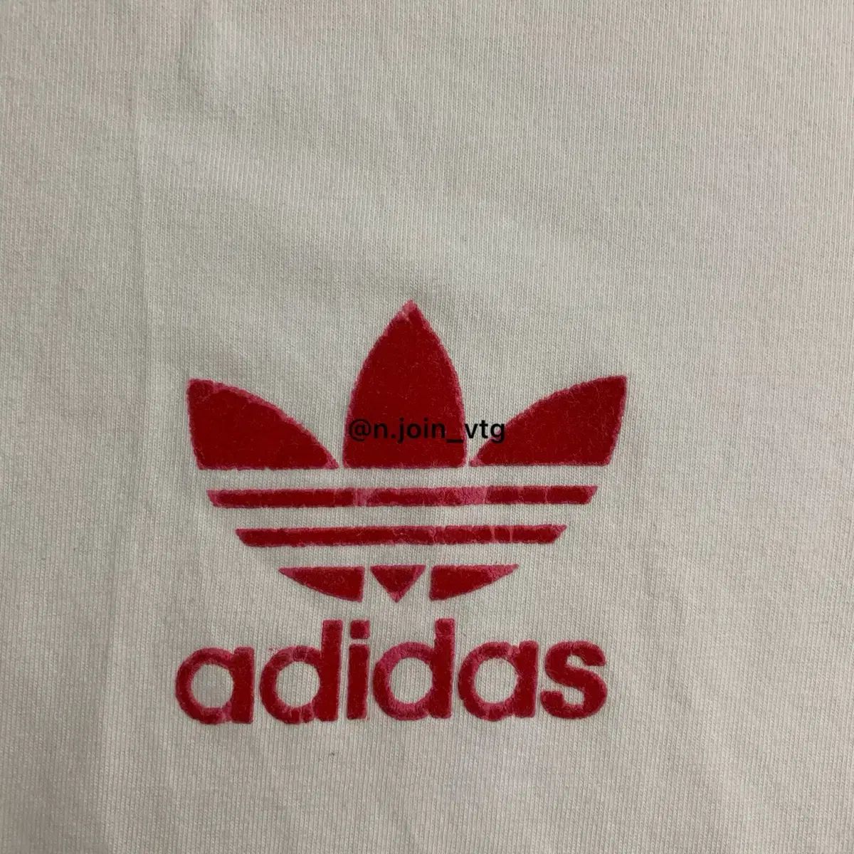 Tシャツ スクール