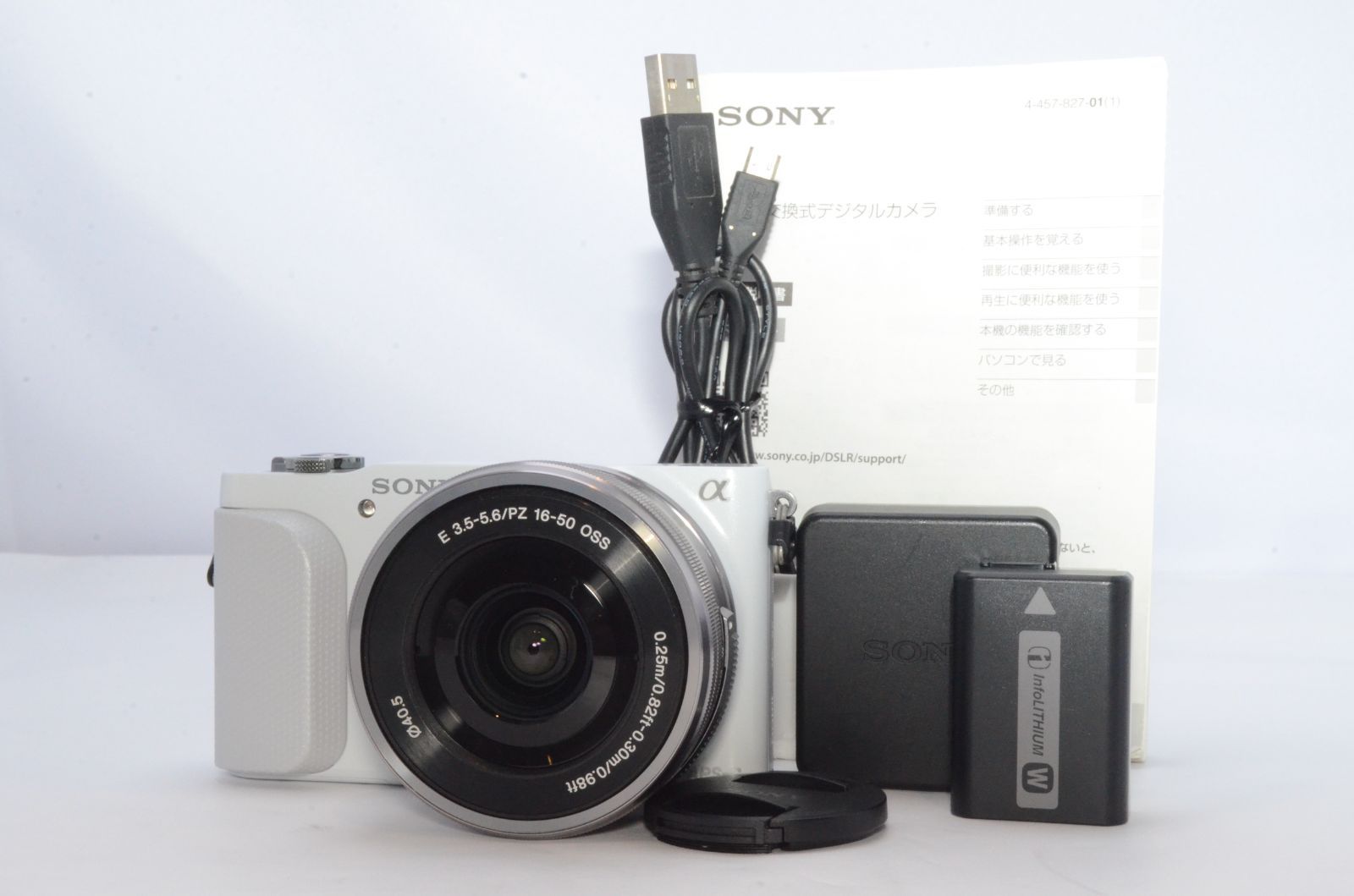 サスケさま専用 シマノ 伊吹10尺 サスケ様専用ページ