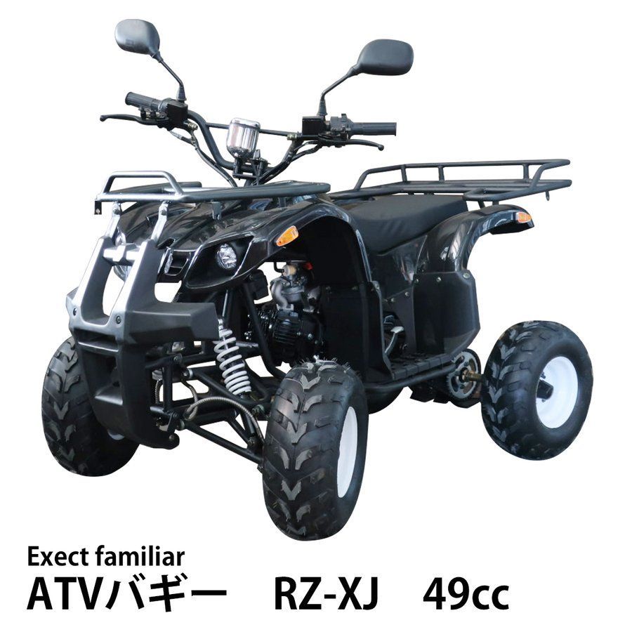 極上！改造多数！ LT250R 2st バギー 四輪バギー ATV バイク - バイク