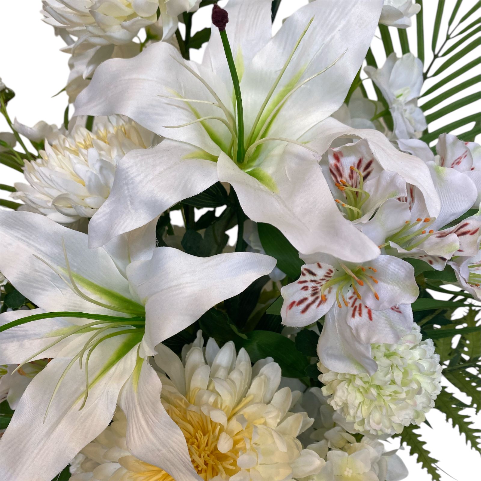 カサブランカ 菊