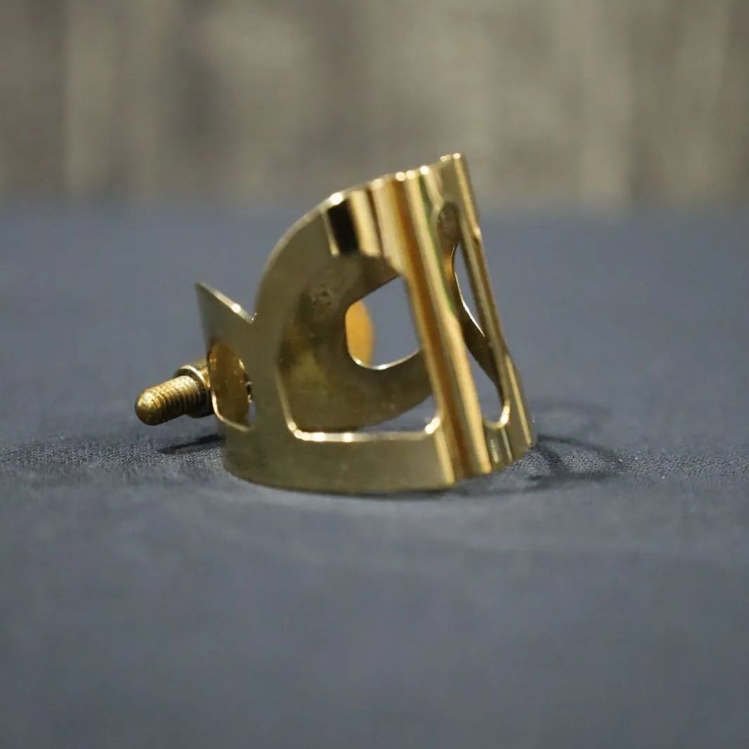 BG Ligature