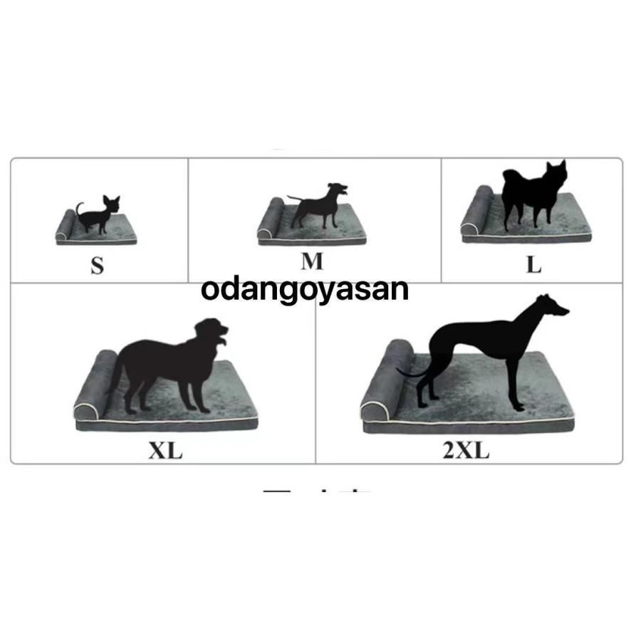 老猫