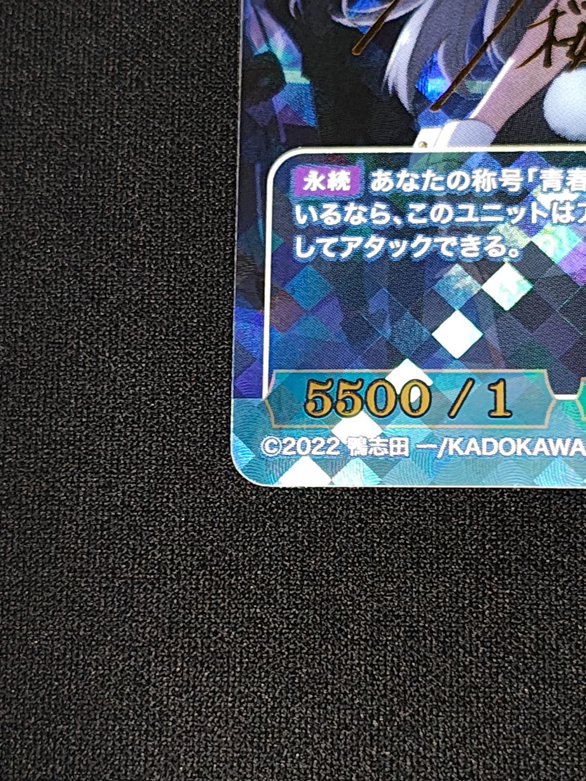 シュレディンガーの兎 桜島麻衣 BR ビルディバイド青ブタ STEELWINDOWSANDDOORS_COM