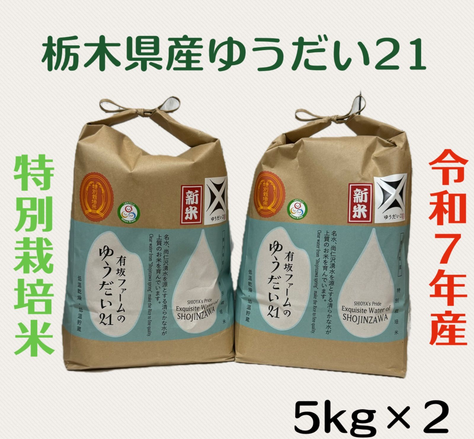 栃木県産ゆうだい21 特別栽培米 白米5kg×2 計10kg