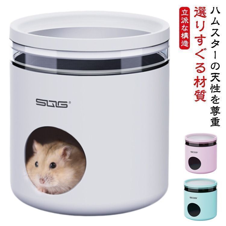 田中啓一 SUZUKI　龍扇　短箏 ソフトケース付き 田中啓一様専用 SUZUKI 龍扇 短箏 ソフトケース付き