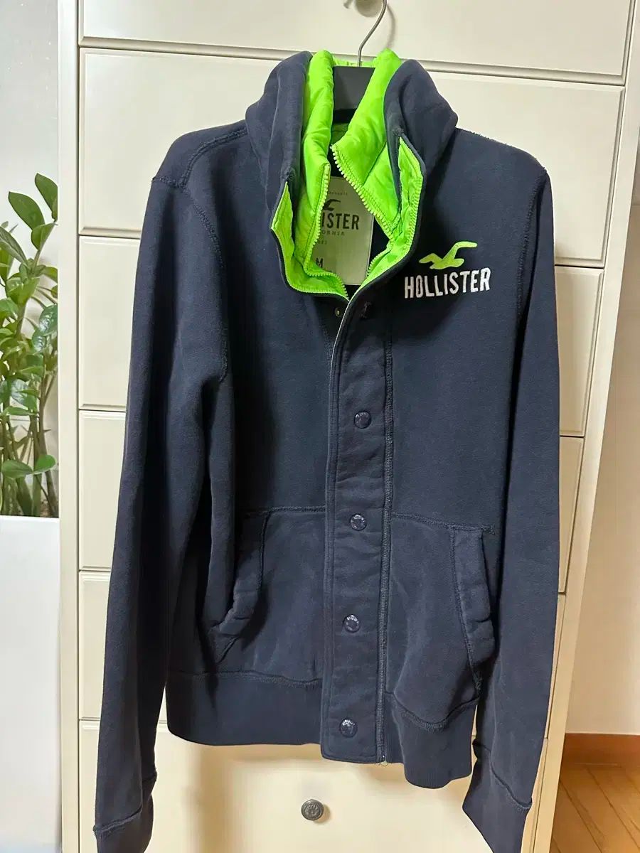 Hollister ホリスター ジャケット