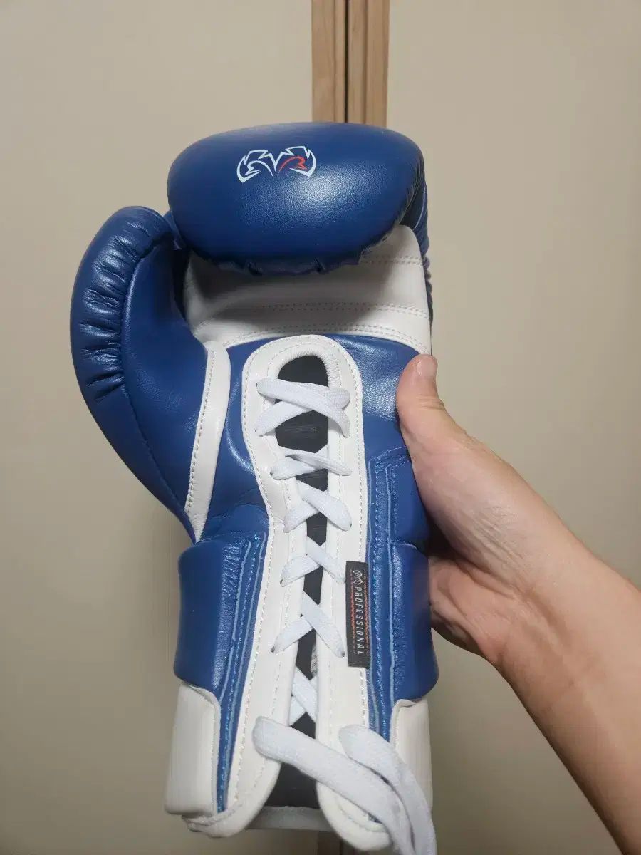 ライバル ボクシング