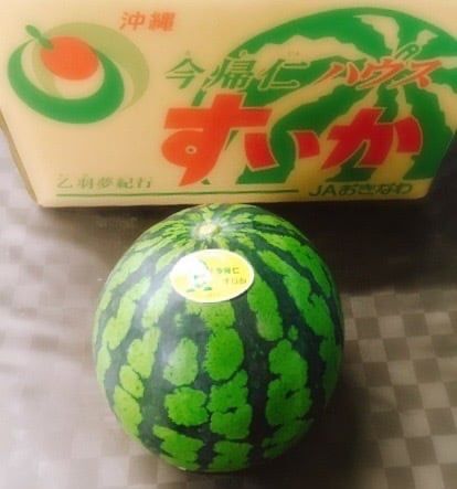 ギフトにも！沖縄本島なきじん今帰仁産スイカ秀品規格2Lサイズ1
