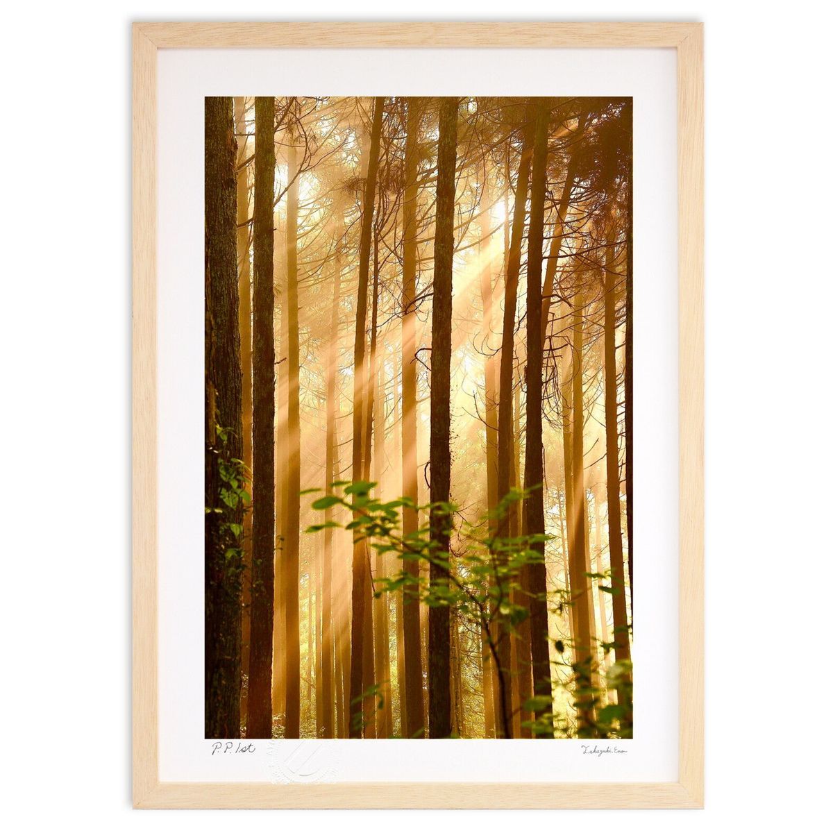 版画 イチョウの並木道 （mitan）インテリア 額入り 風景画 ポスター