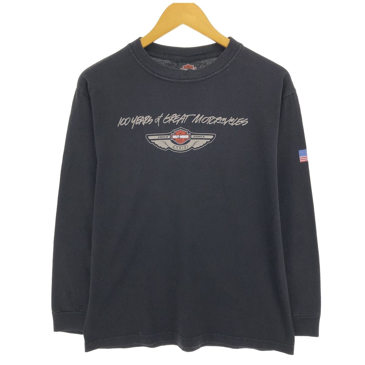 00’s HARLEY-DAVIDSON ハーレー ロンT 0060 レア]00's Harley-Davidson/ハーレーダビッドソン 長袖Tシャツ