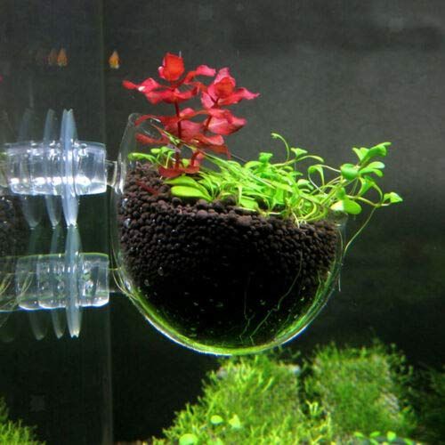 人気商品】ガラス 水槽鉢 水草ポット スカイガーデン 水草 水槽 植物