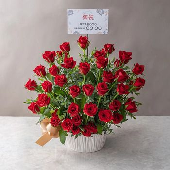 ホシファーム 薔薇の御祝アレンジメント ルージュ