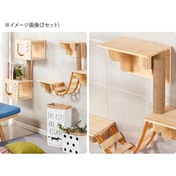 猫 階段