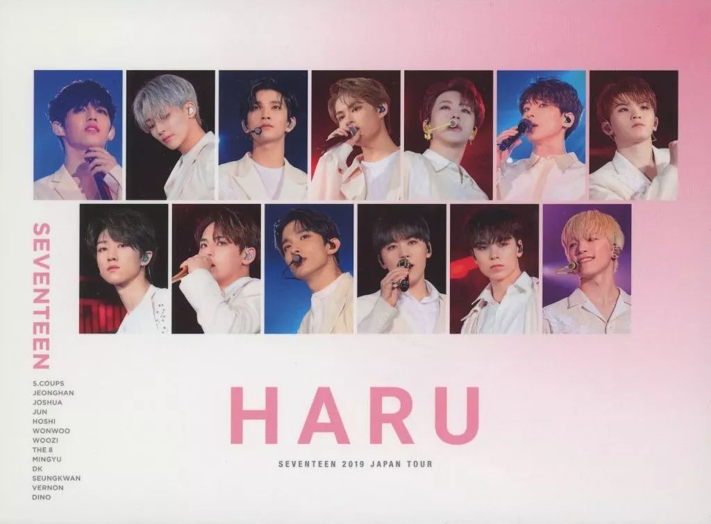 SEVENTEEN 0 TOUR HARU JAPAN DVD 同梱可中古品 韓流 メルカリ - You