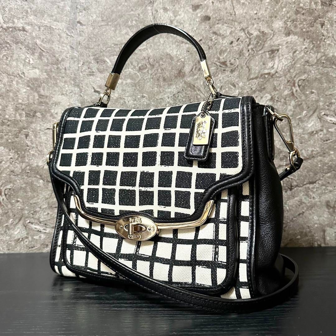 使用感少/美品】 COACH コーチ マディソン グラフィックプリント  