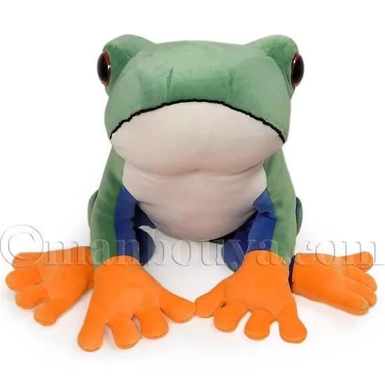 アカメアマガエル　ぬいぐるみセット 楽天市場】【選べる2個セット】【ラッピング無料】アニマニア