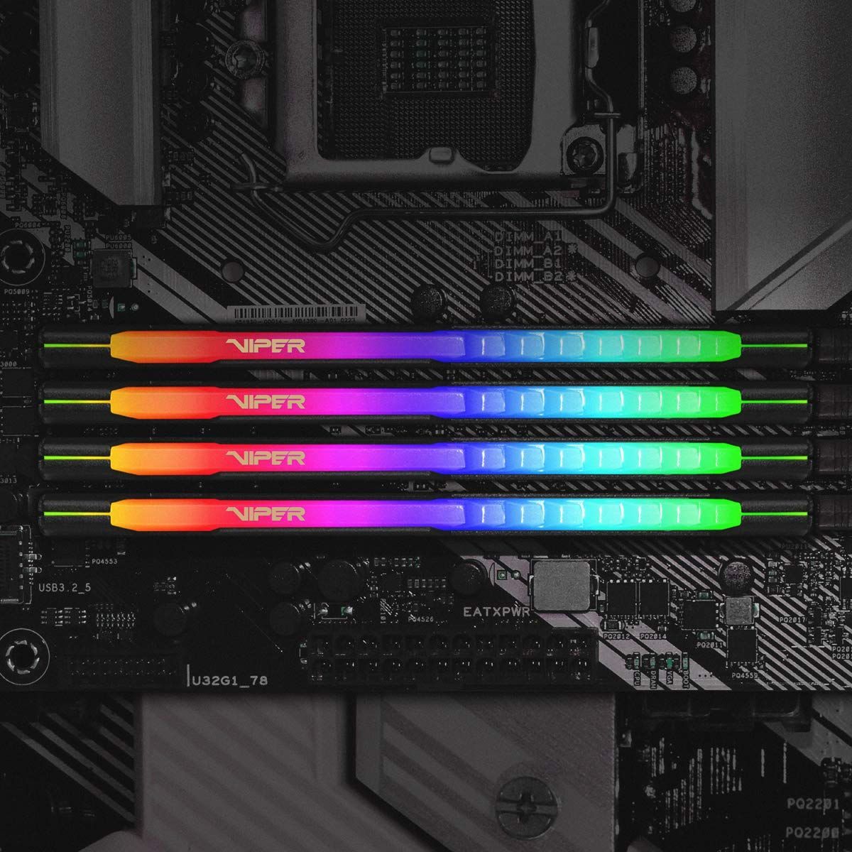 パトリオットメモリ Viper Steel Memory RGB DDR4 3600MHz PC4-28800 ...