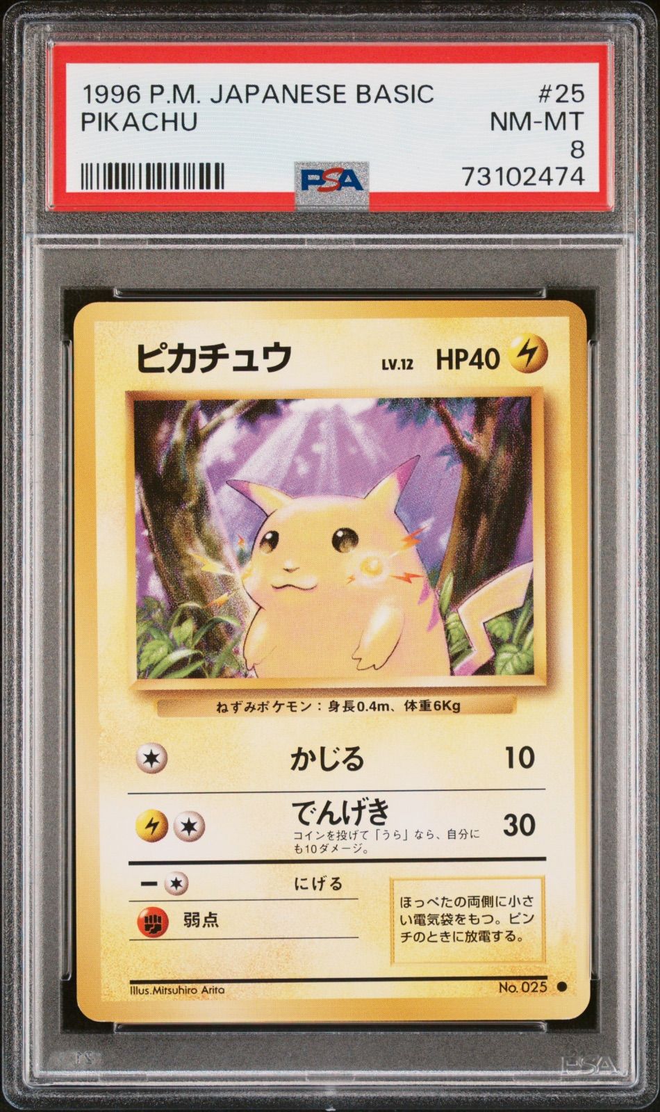 PSA8】ポケモンカード 旧裏面 ピカチュウ LV.12 ポケカ 拡張