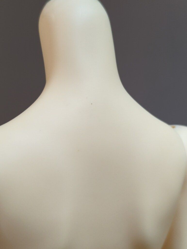 CROBI DOLL M-Line Girl Integrated Type WWW_STEELWINDOWSANDDOORS_COM