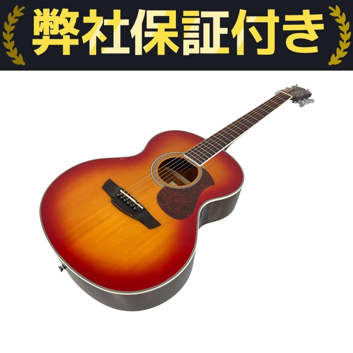 James J-300A CAO アコースティックギター James J-300A/CAO