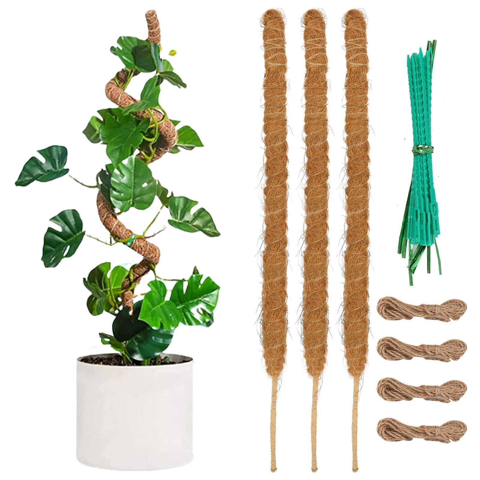 RILIHII 園芸支柱【4本／セット】120cm モンステラ 曲げ可能 観葉植物 つる性植物 植物支柱 ココナッツ支柱 植物サポート 花支え 支柱棚 ガーデニング 農業用 園芸用