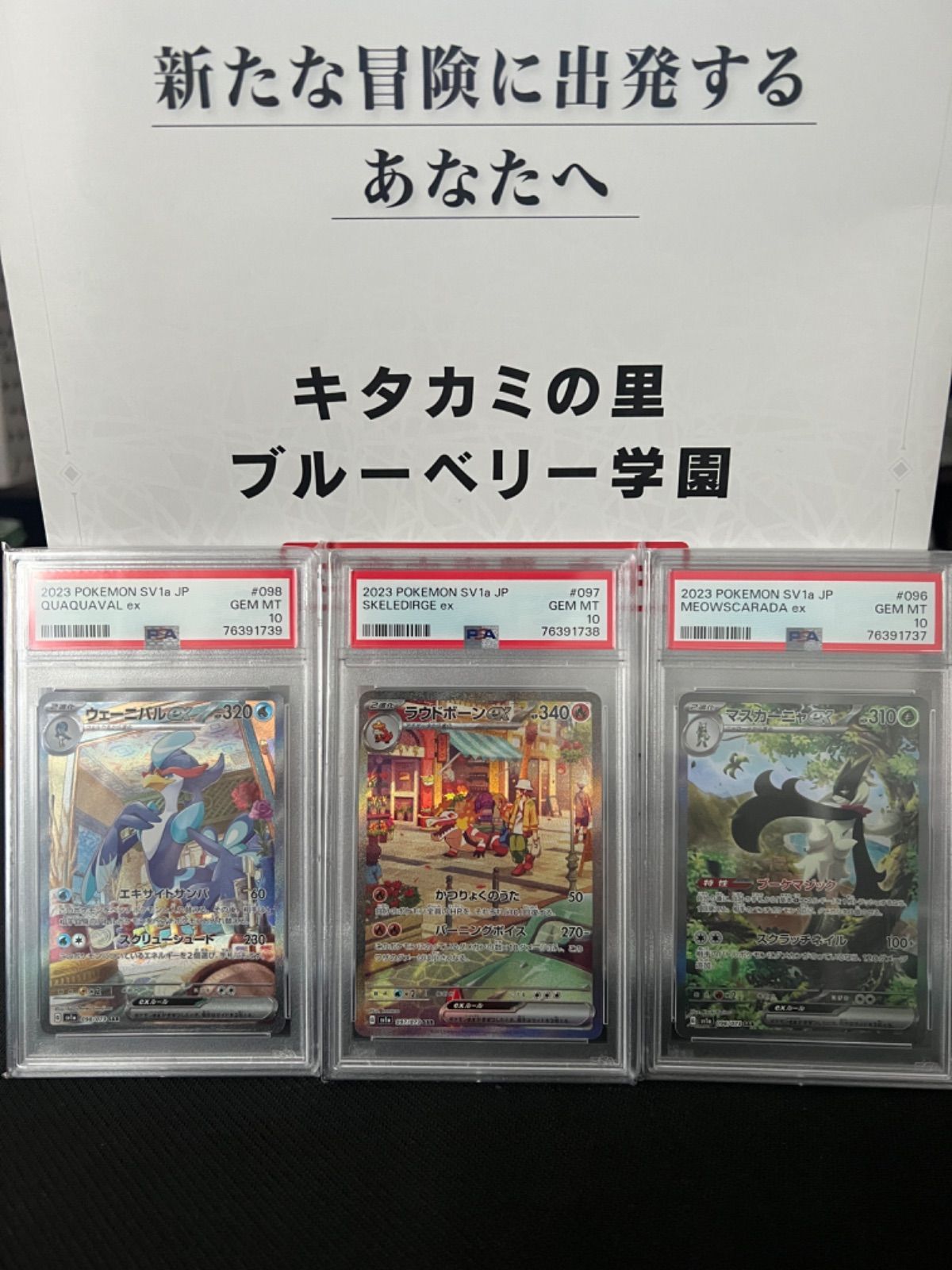 ポケモンカード PSA10 マスカーニャ ラウドボーン ウェーニバル SAR 連 