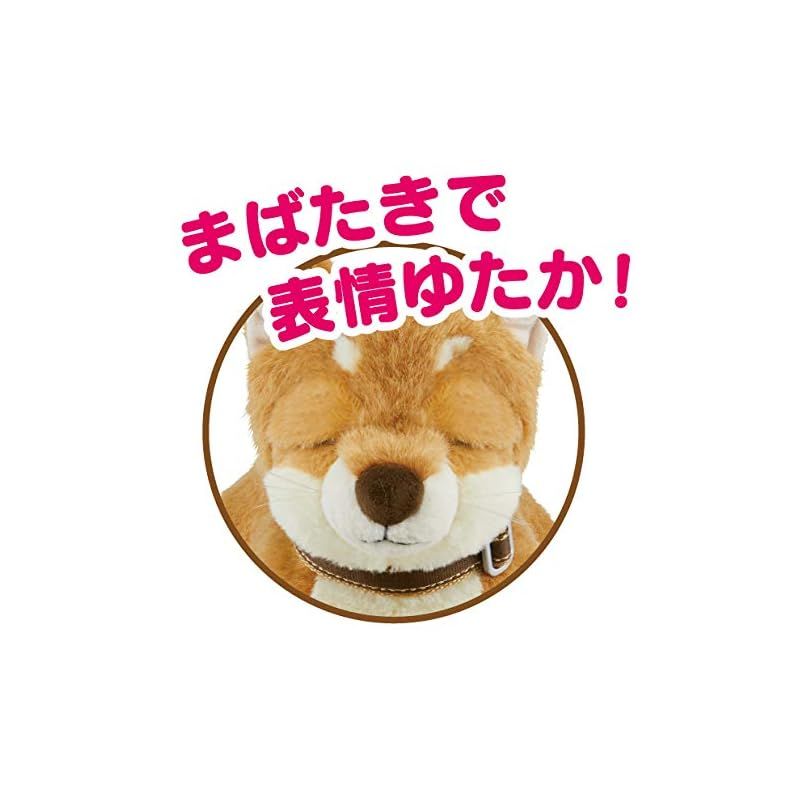 癒し系 おしゃべり