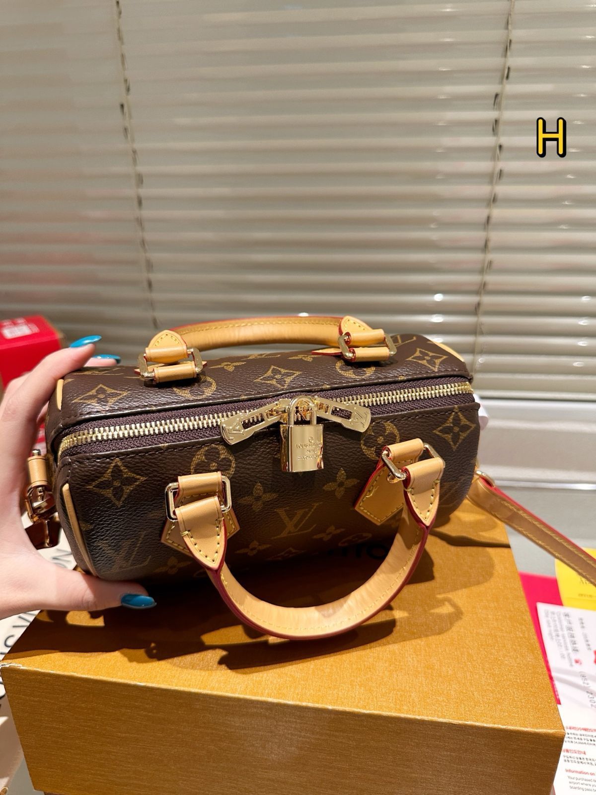 今日特価】LV (Louis Vuitton) Speedy 20 ピローバッグ