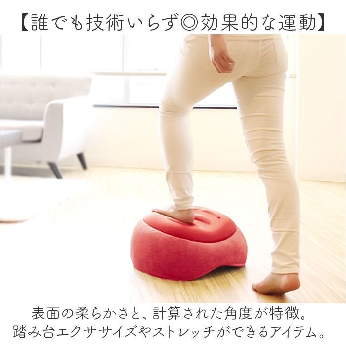 プロイデア ギフト
