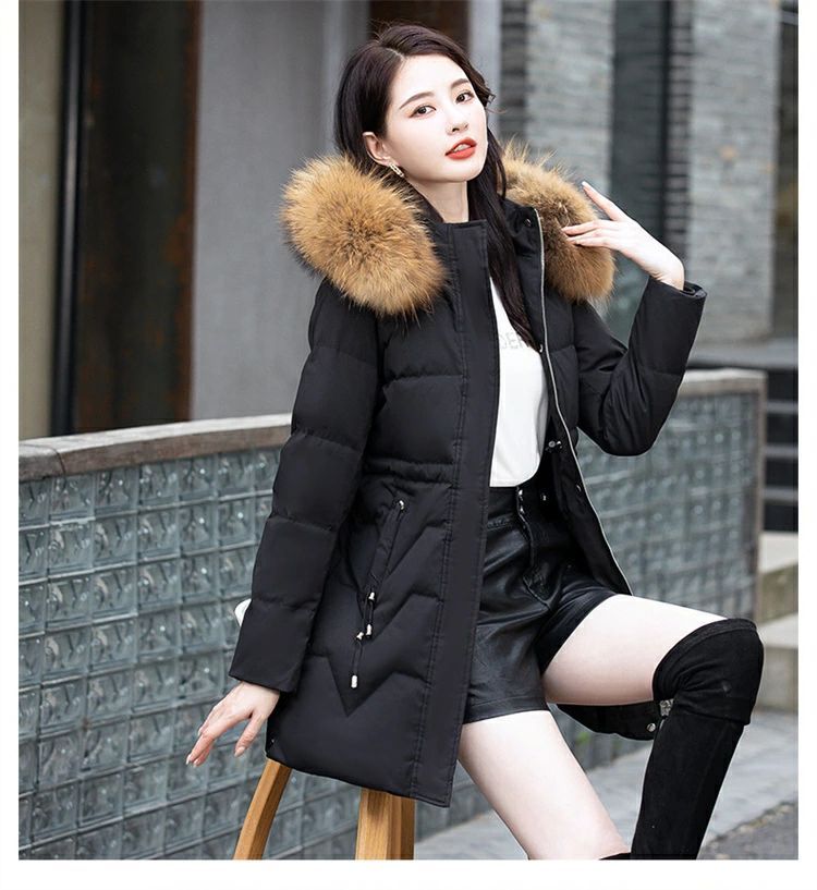 ダウン 秋冬アウター