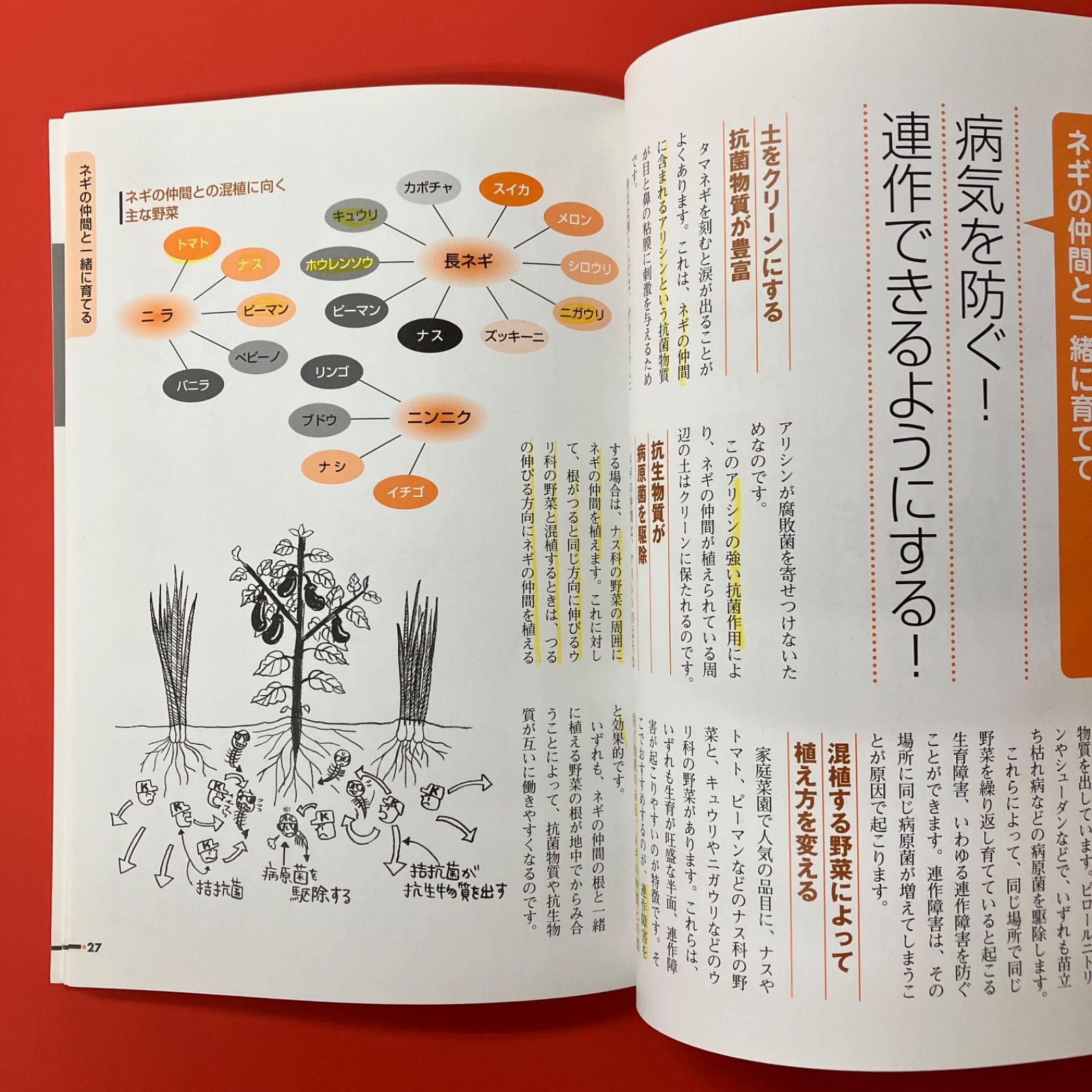 「②野菜王子※説明文必読」 ②野菜王子※説明文必読」 ②野菜王子※説明文必読」 マンガで