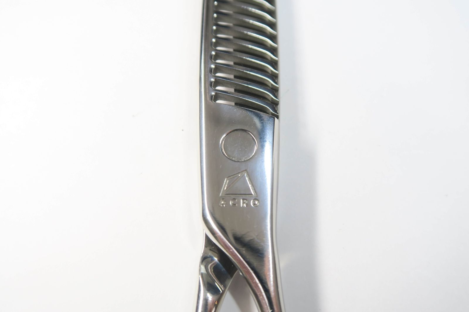 ミズタニシザーズ