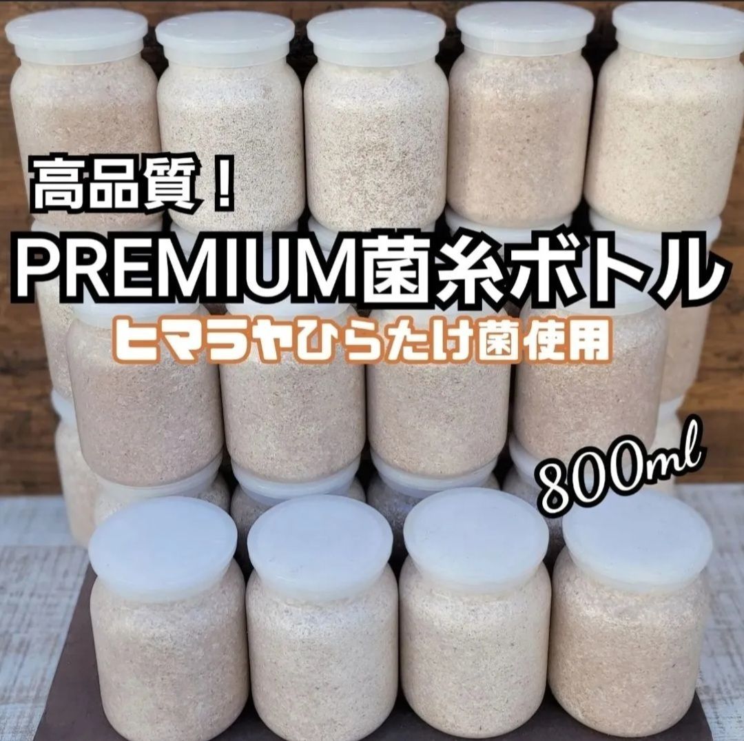 極上！ヒマラヤひらたけ菌糸瓶 800ml【5本セット】ニジイロクワガタにお薦め  ！トレハロース、ローヤルゼリー、キトサン強化配合！オオクワガタ、ヒラタ、ノコギリにも！ - メルカリ