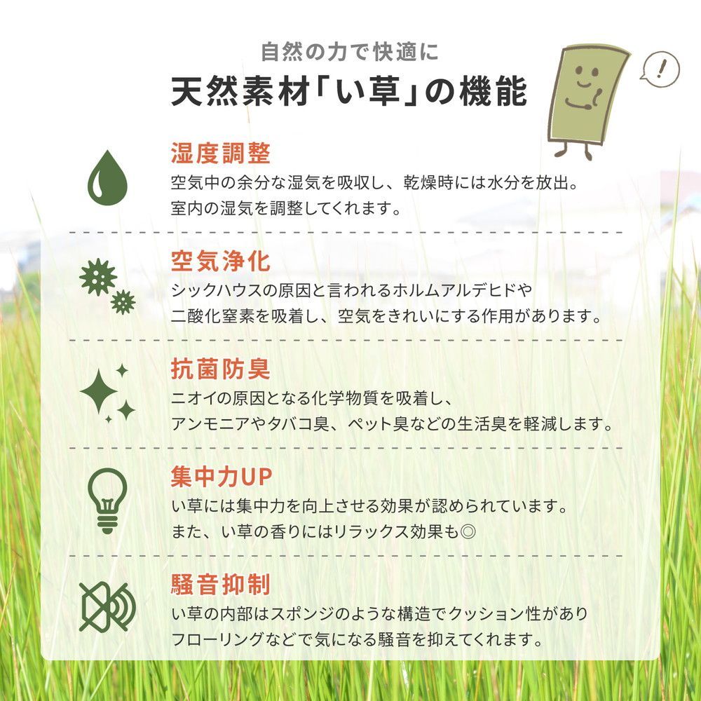 選べる軽量置き畳