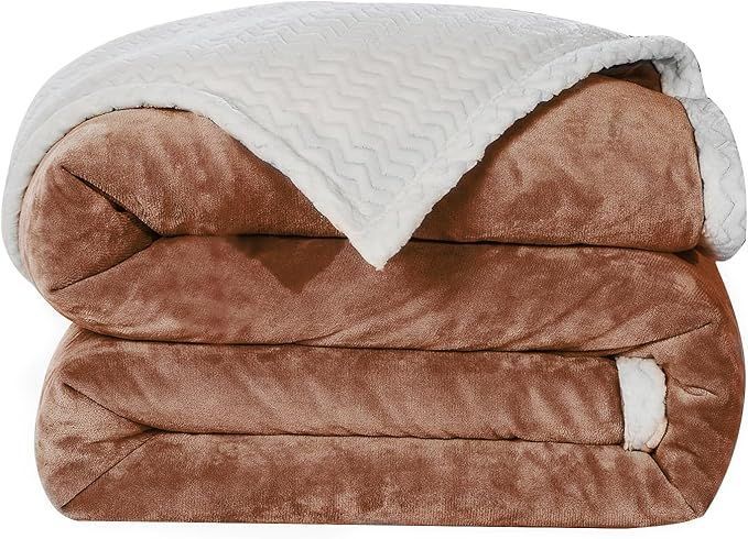 カラヤン レーザーディスク 5枚組 LD カラヤンの遺産4点