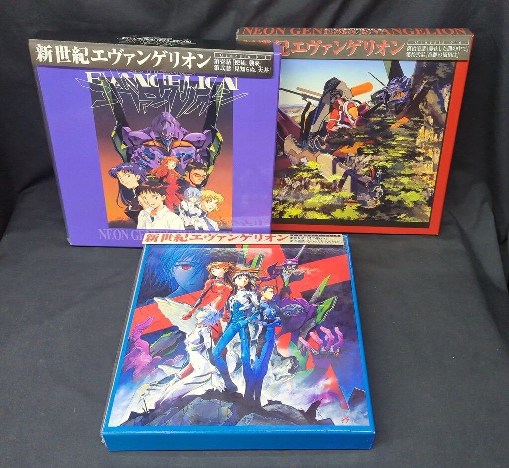 アニメLD 新世紀エヴァンゲリオン BOX付全14巻 セット ※14巻欠品